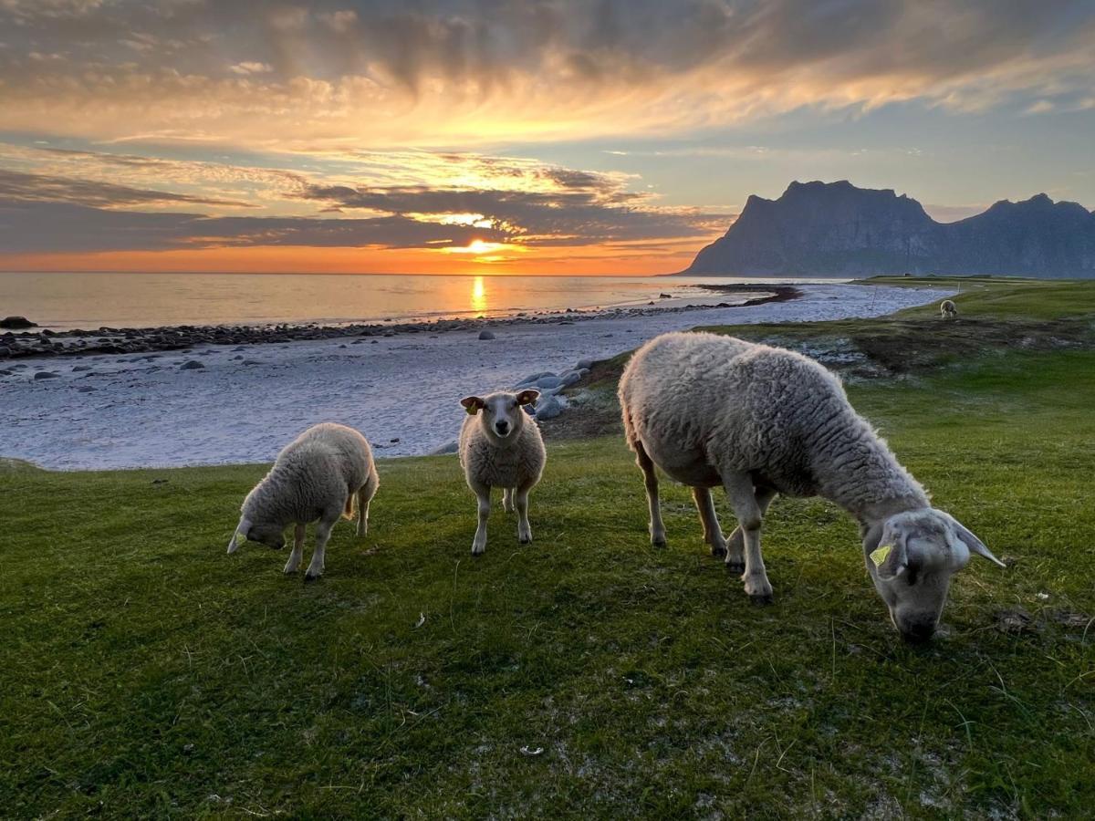 Real Fisherman'S Cabins In Ballstad, Lofoten Экстерьер фото